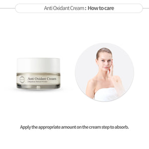 OxygenCeuticals Anti Oxidant Cream